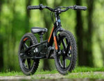 Harley-Davidson® Brushless IRONe Electric 16E Stacyc Bike - ST100004