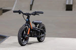 Harley-Davidson® Brushless IRONe Electric 12E Stacyc Bike - ST100003
