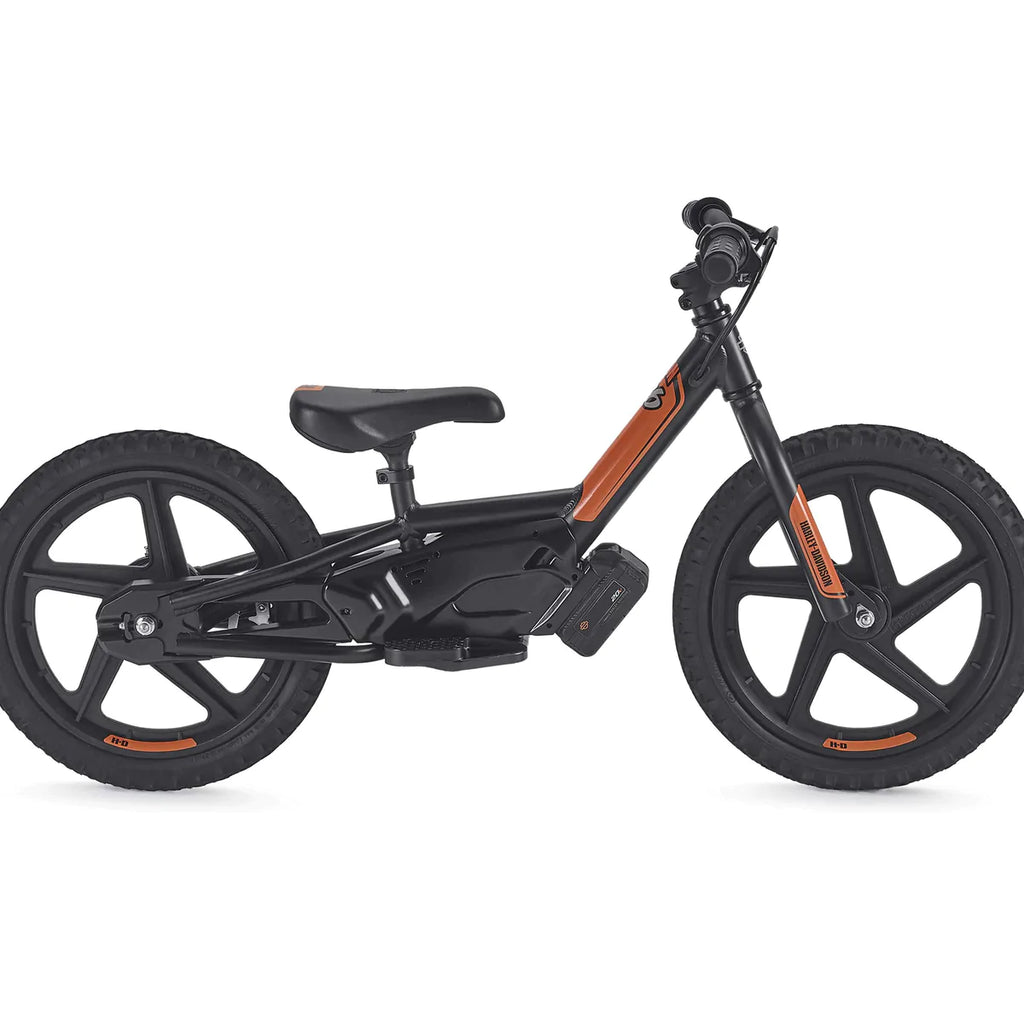 Harley Davidson Brushless IRONe Electric 12E Stacyc Bike