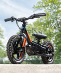 Harley-Davidson® Brushless IRONe Electric 12E Stacyc Bike - ST100003
